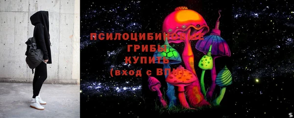 мдпв Няндома