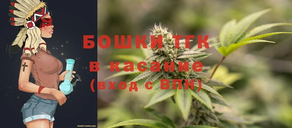мдпв Няндома