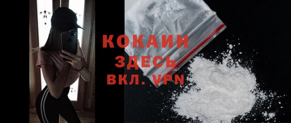 мдпв Няндома
