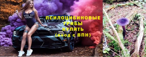 мескалин Осинники