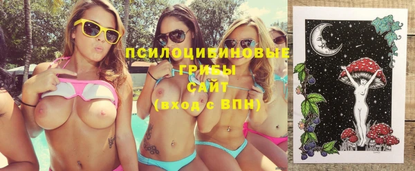 прущие крисы Осташков
