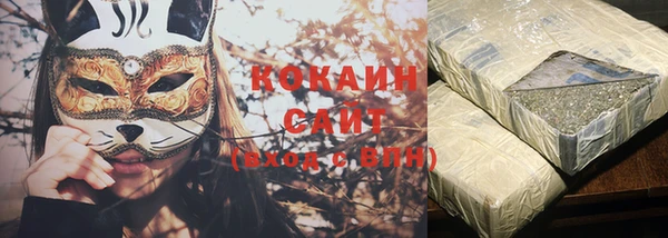 мдпв Няндома