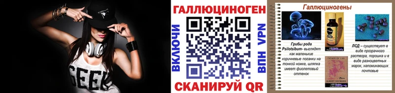 нарко площадка какой сайт  Кашин  Псилоцибиновые грибы Psilocybe  купить  сайты  KRAKEN зеркало 